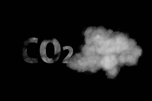  Carbon Footprint: come abbattere le emissioni di CO2
