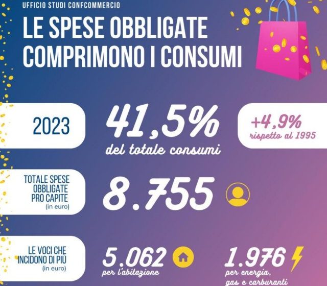  Spese obbligate ancora elevate: assorbono il 41,5% dei consumi delle famiglie