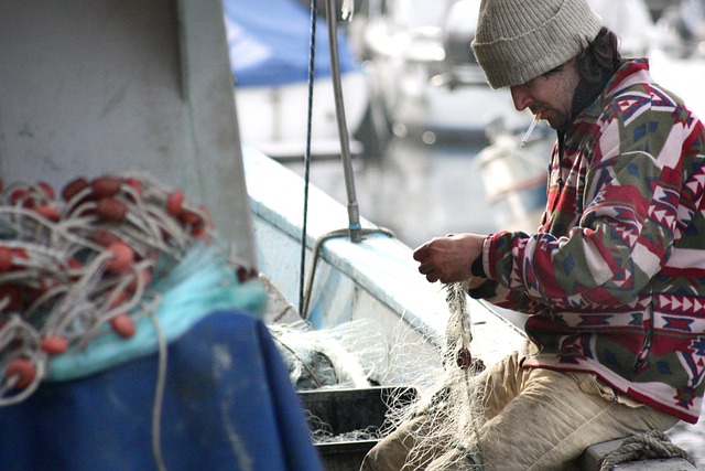  Nuova Sabatini: novità sui contributi per agricoltura, pesca e acquacoltura