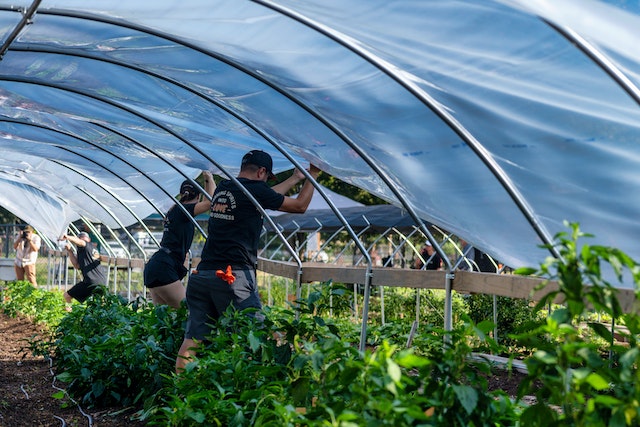  Bando “Coltiviamo Agricoltura Sociale”: è possibile partecipare fino al 20 ottobre 2023