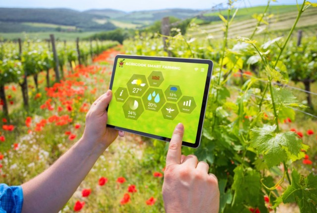  L’agricoltura diventa smart, grazie all’Intelligenza Artificiale e all’IoT