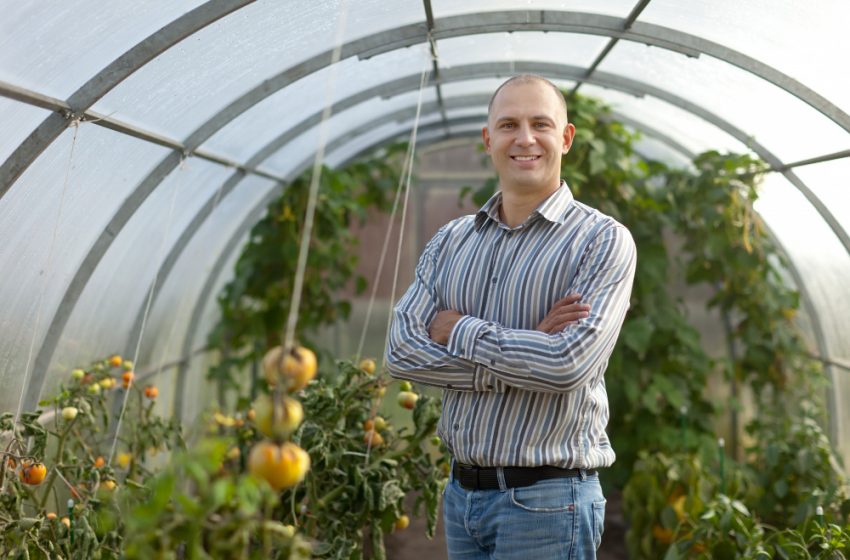  Campania, premio per insediamento giovani agricoltori