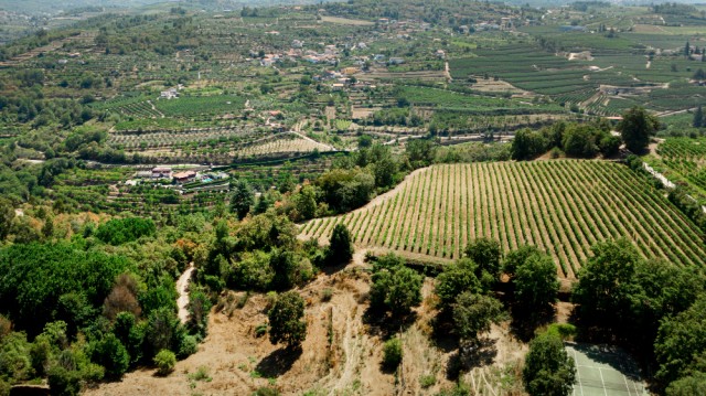  Regione Sardegna, avviso per lo sviluppo delle zone rurali