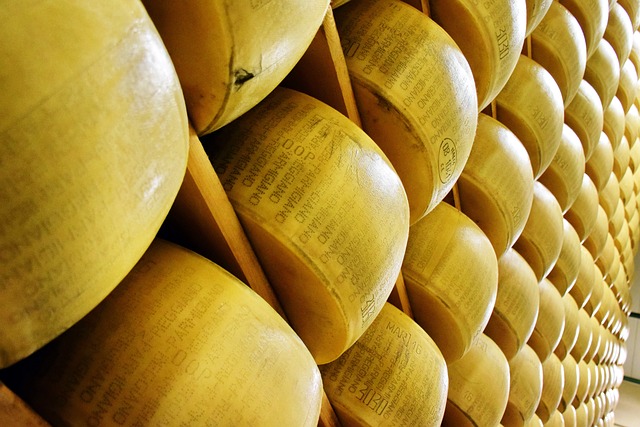  2023 amaro per chi produce latte da Parmigiano Reggiano: bilancio in perdita con costi oltre i 75 euro al quintale