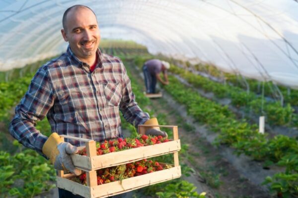 Politica Agricola Comune dell’Ue: aiuti e finanziamenti per gli agricoltori