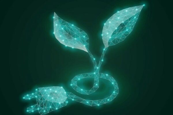 Camera di Commercio di Roma: 10 milioni di euro per la diffusione della cultura e della pratica digitale e green