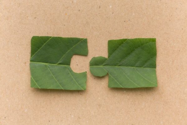 ESG, le imprese accelerano nella transizione ecologica